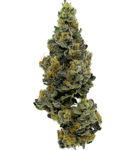 STONEHOUSE - Stonehouse| Dosido x Wedding cake F3 x Jealousy 3.5g | Balance