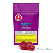 SHRED'EMS Wild Berry Blaze 4 x 2.25g Soft Chews