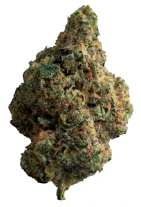 The Loud Plug  - Exotic Gas | 28g