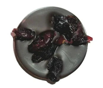 The Hazy Camper - The Hazy Camper| Calming Cranberry Organic Dark Chocolate | Rest