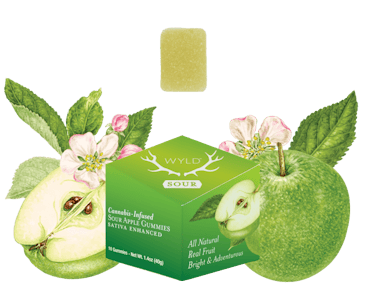 Wyld - Wyld Real Fruit Sour Apple 2 x 4g Soft Chews