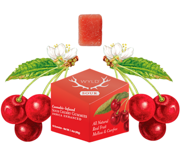 Wyld - Wyld Real Fruit Sour Cherry 2 x 4g Soft Chews