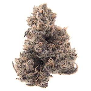 Peers - Peers - Giggly Bits - Rotational Sativa 28g