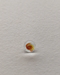 Valdes Glass  - Valdes Glassworks - Terp Pearls - Assorted Colours