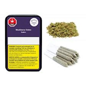 Wildlife - Blackberry Gelato 10x0.3g Pre-Rolls