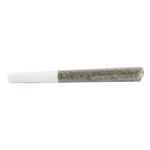 5 Points Cannabis - Assorted Multi Pack Pre-Roll - 12 Pack