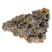 Early Lemon Berry (Sativa 7g)