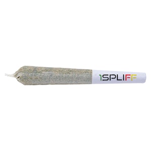1Spliff - MacCandy Pre-Roll (Sativa) - 7 Pack
