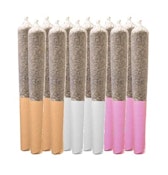 Midnight Express Pre-Rolls - 12 x 0.5g