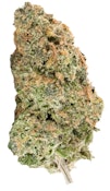 Big Budda Cheese (BBC) | 3.5g