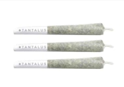 PACIFIC OG PR | TANTALUS | 3 x .5g
