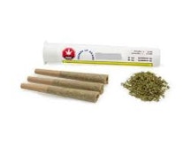 Thumbs Up Sativa 2 x 1.0 g Pre-Rolls