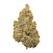 BC Organic Lucy In The Sky