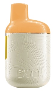 Back Forty - Peach Lemonade Disposable Pen | 0.95g