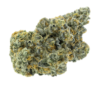 Apricot Frost 3.5g Dried Flower