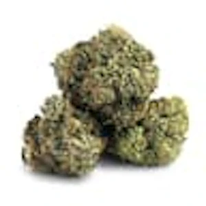 Smoker Farms - Smoker Farms - Master Kush Ultra (G13 x OG Kush)