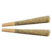 Night Rider Pre-Roll 2x1g Pre-Rolls