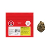 BC Purple Kush 7G