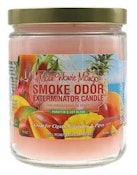 Smoke Odor Candle - Maui Wowie Mango