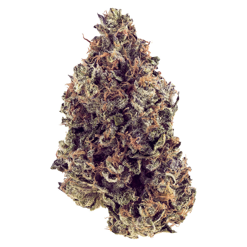PURPLE GOD CRAFT - 3.5