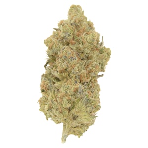 Rocket Factory - Gastro Pop 7g Dried Flower
