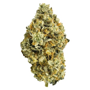 Weed Me Limited Batch - Medellin 7g Dried Flower