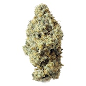 Frosted Fruit Cake x Sunset Sherb 14g Dried Flower