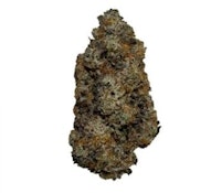 14G - GENETIC FUNK LTO