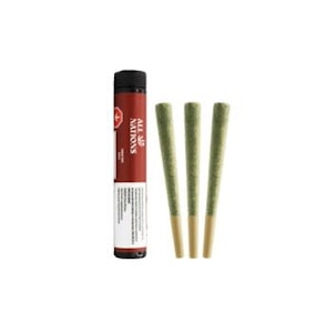 All Nations - Tropic Thunder 3 x 0.5G