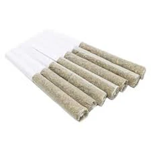 Sheeesh! - Trop Cherry Pre-Roll 7x0.5g Pre-Rolls