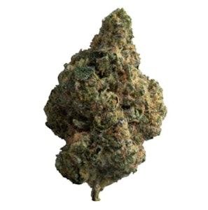 The Loud Plug - The Loud Plug - Exotic Gas (28g)