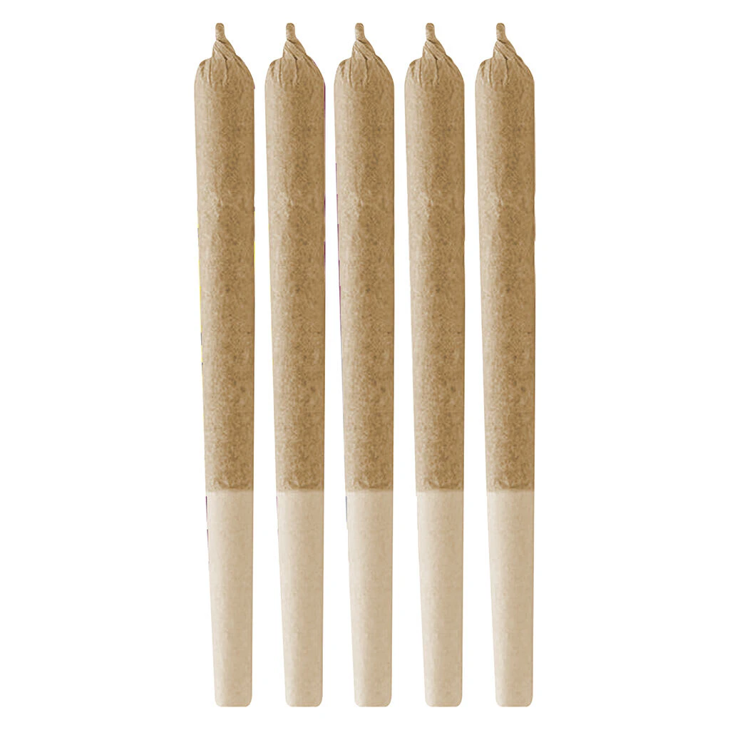 Retro Haze - Jack Herer Pre-Roll 5x0.5g Main Image