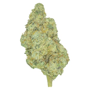 San Rafael '71 - ROTATIONAL - GINGER BREATH CKS - 3.5