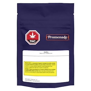 Promenade - Buddies - Promenade - Hybrid - Dried Flower 7g