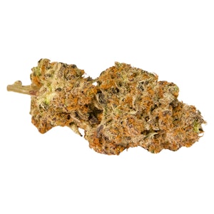 SeaWeed - Orange Velvet Underground