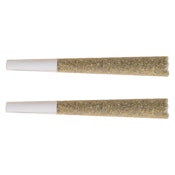 The Republic - Reserve 25 Plus Pre-Roll 10x0.5g