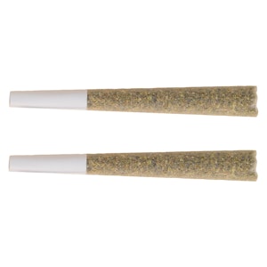 The Republic - The Republic Reserve 25 Plus Pre-Roll 10x0.5g - THE REPUBLIC