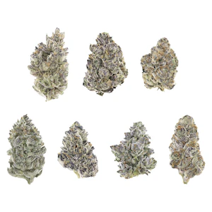 The Karma Cup - Sativa Dominant Judges Kit 7g Dried Flower