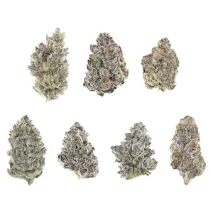 The Karma Cup - Hybrid Judges Kit 7g Dried Flower