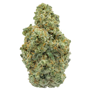 FOUR54 - ICC Jungle Mints 3.5g Dried Flower