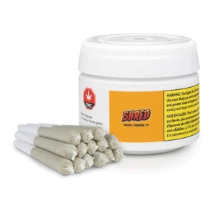 Shred - Tropic Thunder J's 14 x 0.5g Pre-rolls