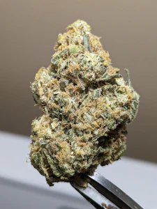 OGEN Ltd - OGEN Peach Chauffeur Sativa 3.5g