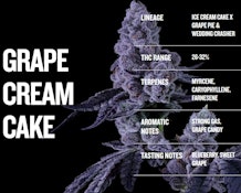 Grape Cream Cake 3.5g Dried Flower