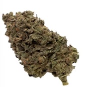 14G - JUNGLE FUMES