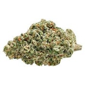North 40 - Tropical Blast - 3 x 0.5g