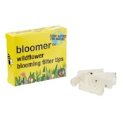 1 1/4 Cones with Plantable Filter Tips / Bloomer - 6 pack