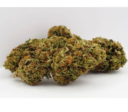 Grown Here - Certified Organic CBD Flower (7g)