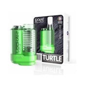 Turtle - Green