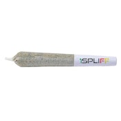 Island Pink 10 x 0.35g Pre-Rolls