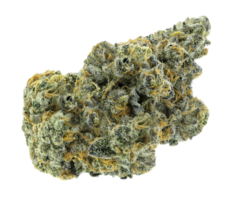 Partake - Apricot Frost 7g Dried Flower